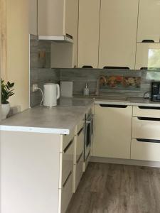 德鲁斯基宁凯V15 Apartment的厨房配有白色橱柜和白色家电