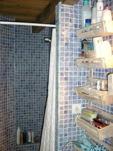 AlmogíaCasa rural en pueblo blanco的浴室铺有蓝色瓷砖,配有浴帘