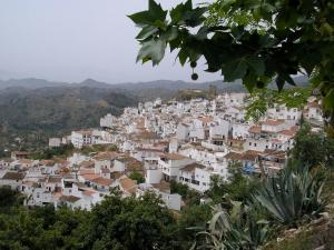 AlmogíaCasa rural en pueblo blanco的山丘上的小镇,有白色的房屋