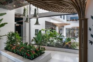 马拉加普桑达帕提欧斯莱克森温齐酒店的大堂种植了植物,设有大窗户
