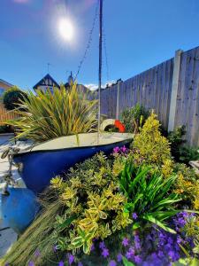 滨海克拉克顿Viva Guest House的花 ⁇ 花园中的小船