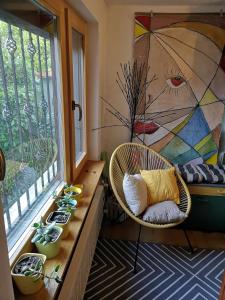 瓦拉日丁Apartman Anđela的客房设有带椅子的窗户,并种植了植物