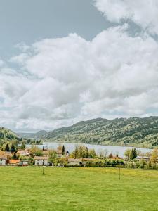 阿尔高内的伊门施塔特Rothenfels Hotel & Panorama Restaurant的绿色的田野,有湖泊背景