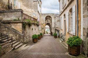 Bourg-sur-GirondeBourg superbe appart avec vue magnifique的一座种植了盆栽植物的古老建筑中的小巷