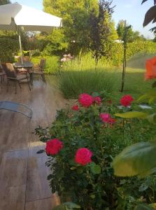 GrudeApartman Corluka Grude的花园内种有红色玫瑰,配有桌椅