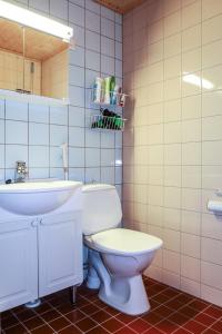 索特Syöte Luppomaja的浴室配有白色卫生间和盥洗盆。