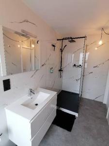 FloreffeBarotel - Bed & Dinner的白色的浴室设有水槽和淋浴。