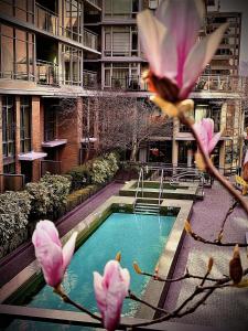 温哥华艾米塔什酒店的一座建筑物前的游泳池,里面装有粉红色的花朵