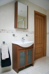 丁格尔Reenconnell Dingle的一间带水槽和镜子的浴室