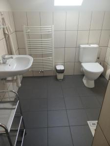 Zlatá Koruna纳波莱兹拉克鲁恩旅馆的一间带卫生间和水槽的浴室