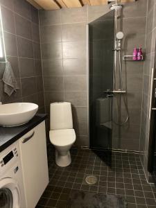 索特Revontuli 6的浴室配有卫生间、盥洗盆和淋浴。