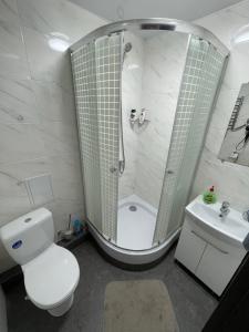 克里沃罗格Студия LUX в центре города的带淋浴、卫生间和盥洗盆的浴室