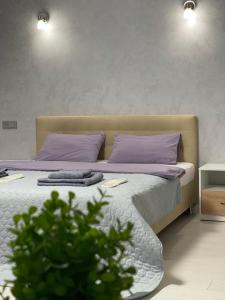 克里沃罗格Студия LUX в центре города的一间卧室配有一张带紫色枕头和植物的床