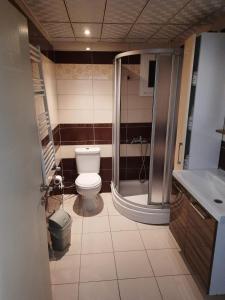 恰纳卡莱ADA APART OTEL的浴室配有卫生间、淋浴和盥洗盆。