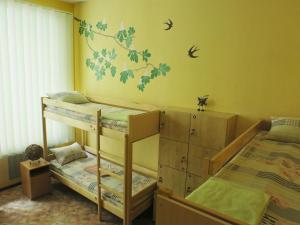 基辅德利尔旅馆的一间卧室设有两张双层床,墙上有鸟