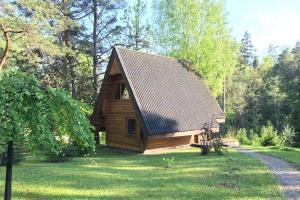 采西斯Pirtsmāja Villa Marta的田野中间的小木屋