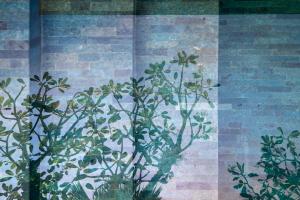 坎古Blossom Eco Luxe Villas by Ekosistem的砖墙边的植物壁画