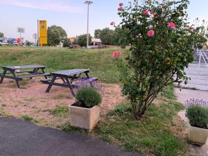 马孔梅肯拉萨尔酒店的两张野餐桌和一棵带粉红色玫瑰的灌木丛