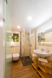 奥伯霍夫Appartements Gasthof Kanzlersgrund的带淋浴、盥洗盆和卫生间的浴室