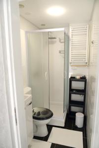 诺维萨德Apartment Krins的一间带卫生间和玻璃淋浴间的浴室