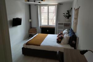 斯特拉斯堡Appartement Spacieux et Cosy - Strasbourg Centre的一间卧室设有一张床和一个窗口