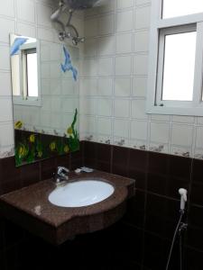 塞拉莱Rimal Suites Apartments的一间带水槽和镜子的浴室