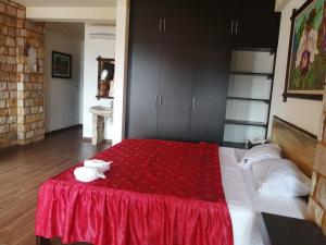 塔拉波托Castillo de Tarapoto的一间卧室配有一张带红色毯子的大床