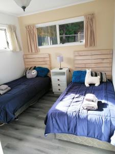 上哈特Cozy guesthouse at the Rabbithole, Akatarawa Valley的一间卧室设有两张床和窗户。