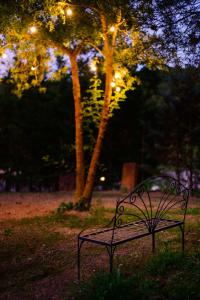 Torre del Compte拉帕拉达德尔孔普特酒店的夜间坐在公园草地上的长凳