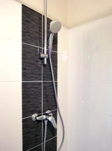 洛里昂渔民酒店的浴室内配有淋浴和头顶淋浴