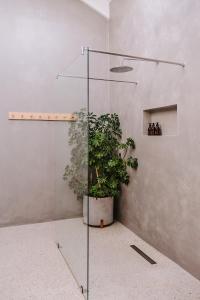SkoenmakerskopSkoon Seaside Accommodation的玻璃淋浴间,室内有盆栽植物