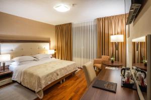塞里特雷尼科德杰尼伽酒店的配有一张床和一张书桌的酒店客房