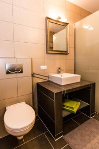 美因河畔霍海姆维奥拉酒店的一间带水槽、卫生间和镜子的浴室