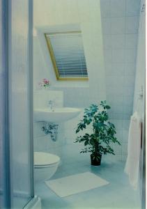 奔驰Hotelpension Schwalbennest的一间带卫生间和水槽的浴室