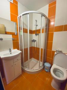 亚沃尔尼克Hotel Pod Zámkem的带淋浴、卫生间和盥洗盆的浴室