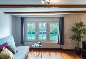 苏黎世嗨特林塔尔尼德多夫公寓的客厅配有沙发和窗户。
