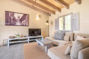 科斯提克斯Casa Cascada的带沙发和电视的客厅