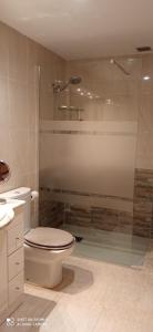 安波拉Estupendo piso en L'AMPOLLA的一间带卫生间和玻璃淋浴间的浴室