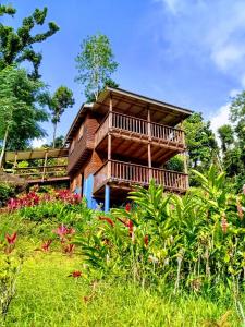 Marigot罗茨丛林仙境酒店的花田中带阳台的木屋