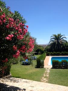 塔里法拉佩尼亚酒店的一个带游泳池和粉红色鲜花的花园