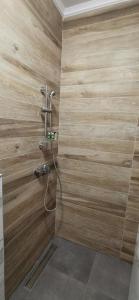 奥赫里德Villa Natali的带淋浴的浴室和木墙