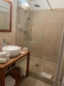 阿尔勒江诗丹顿酒店的一间带水槽和淋浴的浴室