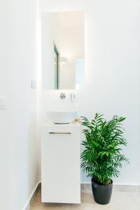 费拉Floresita apartment的白色的浴室设有水槽和植物