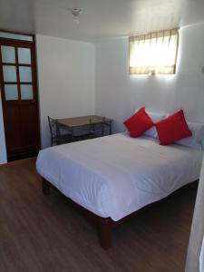 阿雷基帕La Casa de Leonardo YANAHUARA的一间卧室配有一张带红色枕头的床和一张桌子