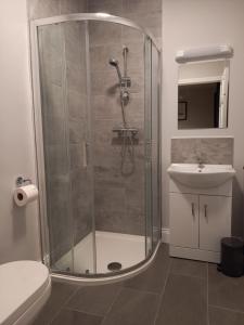 拉斯诺拉Sea Crest B&B Rossnowlagh的带淋浴、卫生间和盥洗盆的浴室