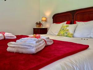 阿尔库什迪瓦尔德维什Casa do Pomar - Eido do Pomar的一间卧室配有带毛巾的床