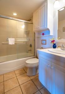哈纳莱伊Hanalei Colony Resort E1的浴室配有卫生间、淋浴和盥洗盆。