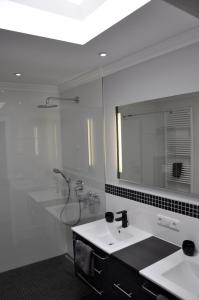 萨斯尼茨膳食及马术公寓的一间带水槽、淋浴和镜子的浴室