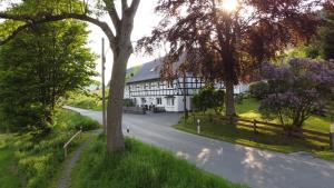 施马伦贝格Ferienwohnung Krähling的一条树木繁茂的路上的白色和黑色房子