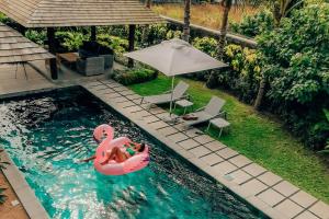 格兰高伯Mythic Suites & Villas的水中粉红色火烈鸟的游泳池里的一对夫妇